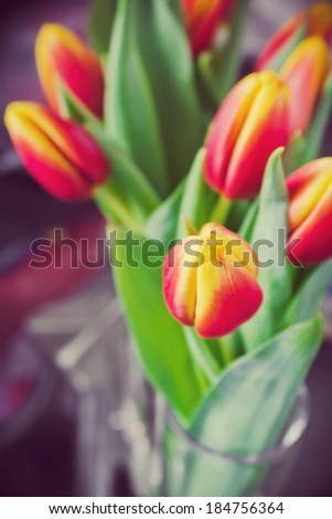 toned picture of beautiful tulips in a vase