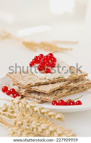 dried bread with cottage cheese and red currant berries on a plate. health and diet food