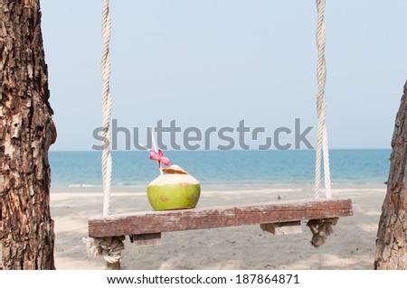 outdoor vacation coconut on swing chill out background  very beautiful