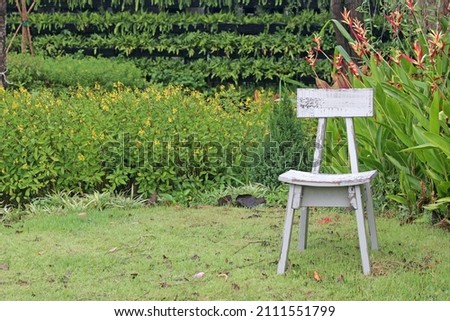 Single empty rustic white painted wooden chair on a lawn in a tropical garden. No people.