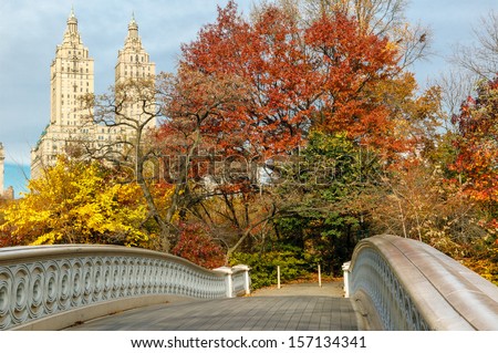 Display of autumn colors by the Bow Bridge in Central Park, with Upper West Side building behind the trees. New York.