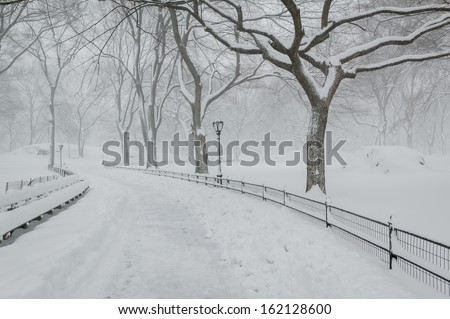 Quiet wintertime in Central Park: tree-lined path under the snow after an early morning snow storm. New York City