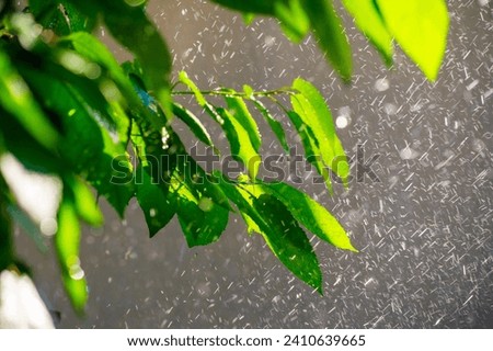 Similar – Image, Stock Photo #AS# Rain is coming Storm