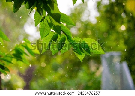 Similar – Image, Stock Photo #AS# Rain is coming Storm