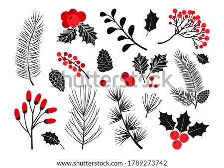 Christmas vector plants, holly berry, christmas tree, pine, leaves branches, holiday decoration, winter symbols isolated on white background. Red and black colors. Vintage nature illustration
