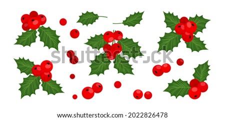 Holly berry Сhristmas vector icons, season decoration, winter plant fruits. Holiday illustration