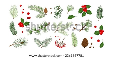 Christmas tree, fir, pine cone, holly berry, leaf branch, mistletoe, winter vector icon, xmas set isolated on white background. Holiday nature illustration