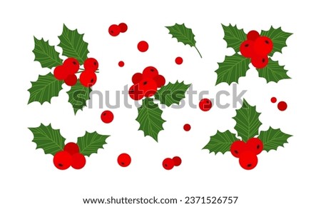 Christmas holly berry vector icon, mistletoe and leaf, red ilex branch, xmas plant isolated on white background. Cartoon holiday illustration