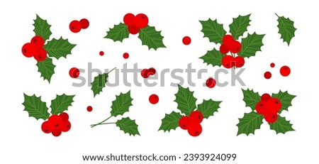 Christmas mistletoe and leaf, winter holly berries vector icon, xmas decoration, red ilex branch isolated on white background. Cartoon holiday illustration