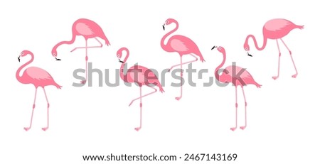 Cartoon vector flamingo, pink swan icon, tropical bird, summer animal set, cute zoo character isolated on white background. Exotic fauna illustration