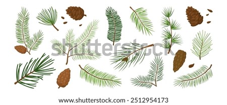 Cartoon fir, Christmas tree, pine cone, evergreen plant, cedar twig, winter decoration, New Year foliage, holiday element. Xmas nature icon isolated on white background. Vector illustration