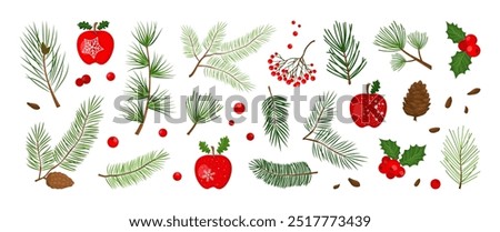 Christmas pine cone, tree, fir, mistletoe, holly berry, leaf branch, winter sprig, apple, Xmas evergreen decor, foliage set isolated on white background. Holiday nature vector illustration