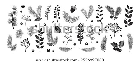 Christmas pine cone, fir tree, branch needle, leaf. Winter sprig, holly berry, Xmas spruce, mistletoe, evergreen cedar, black twig hand drawn isolated on white background. Nature vector illustration