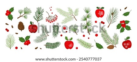 Red apple and fir cone with light spots.