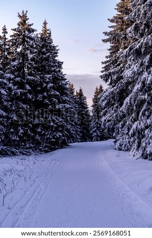 Image, Stock Photo Rennsteig in winter