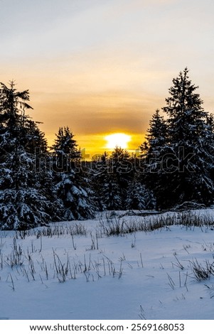 Similar – Image, Stock Photo Rennsteig in winter