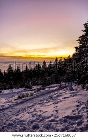 Similar – Image, Stock Photo Rennsteig in winter