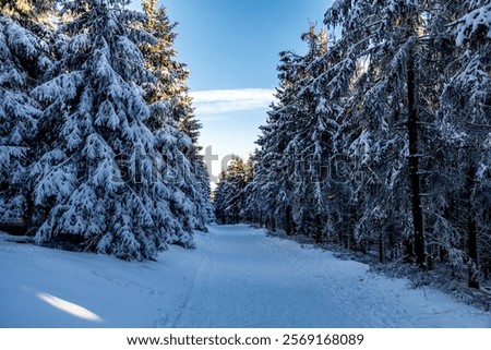 Similar – Image, Stock Photo Rennsteig in winter