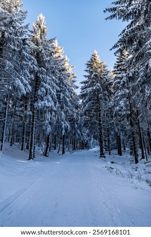 Similar – Image, Stock Photo Rennsteig in winter