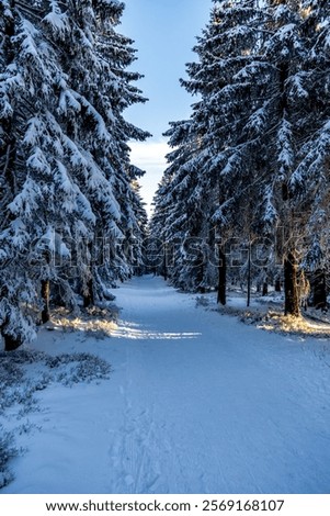 Similar – Image, Stock Photo Rennsteig in winter