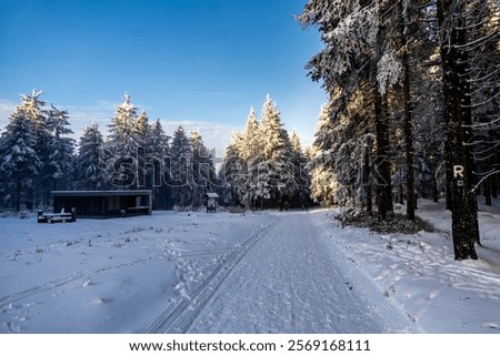 Similar – Image, Stock Photo Rennsteig in winter