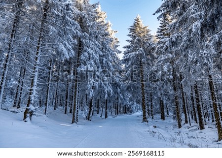 Similar – Image, Stock Photo Rennsteig in winter