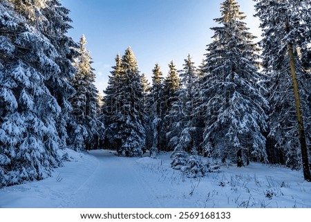 Similar – Image, Stock Photo Rennsteig in winter