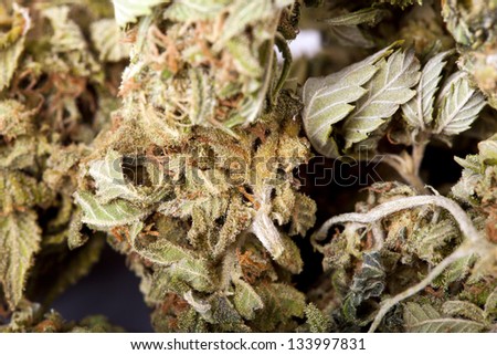 An extreme macro shot of a cannabis bud that had been grown by hydroponic process.