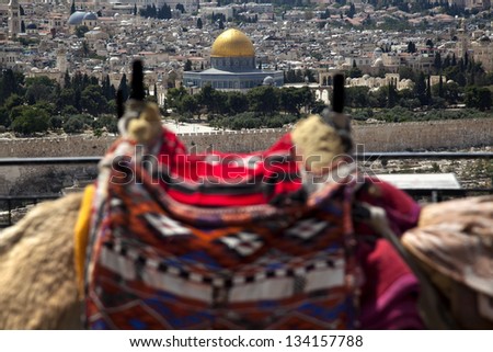The Dome of the Rock and the Jerusalem old city surrounding wall as seen from a view point on Mount of the Olives. Defocused in the foreground, framing the Golden Dome, there\'s a harnessed camel hump.