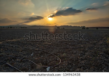 Agricultural field in the north of Israel at sunset. An HDR photo.