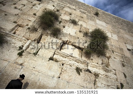 JERUSALEM - MAY 21: An orthodox Jewish man pressed in prayer against the wailing wall on May 21 2010 in Jerusalem, Israel