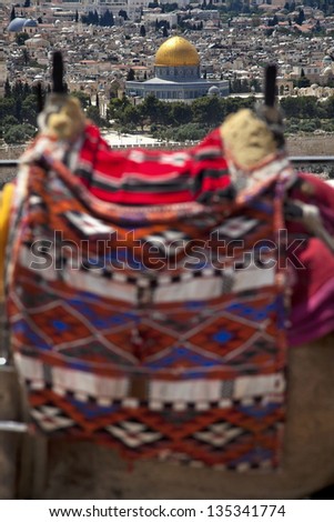 The Dome of the Rock as seen from a view point on Mount of the Olives. Defocused in the foreground, framing the Golden Dome, there\'s a harnessed camel hump.