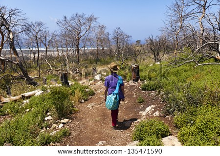 Senior woman (late 60\'s) walking in a path amongst bare naked forest, the Mediterranean sea far in the background. This forest suffered from a forest fire a year prior to the time this image was taken