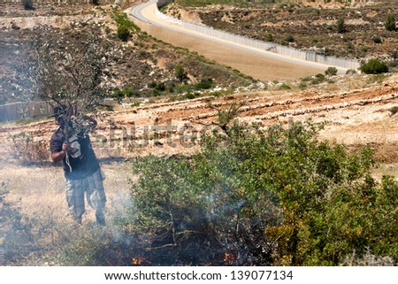 BIL\'IN, PALESTINE - MAY 17: Palestinian putting out fire caused by tear gas canisters in a conflict with the Israeli army at a protest against the occupation on May 17, 2013 in Bil\'in, Palestine.