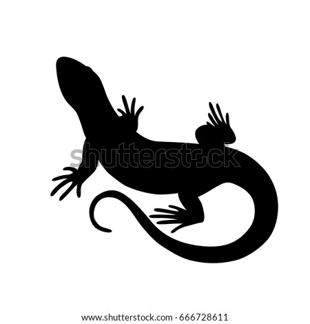 Black isolated silhouette of lizard on white background.