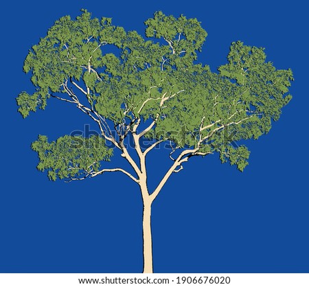 Art work of an Australian gum tree illustration on a blue background