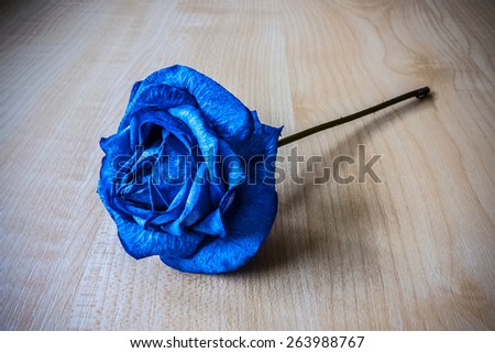 Close up on blue flower rose on the table.