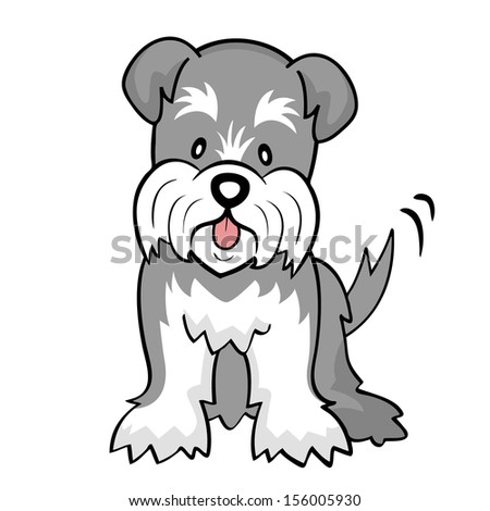 Schnauzer Isolated Stock Photo 156005930 : Shutterstock