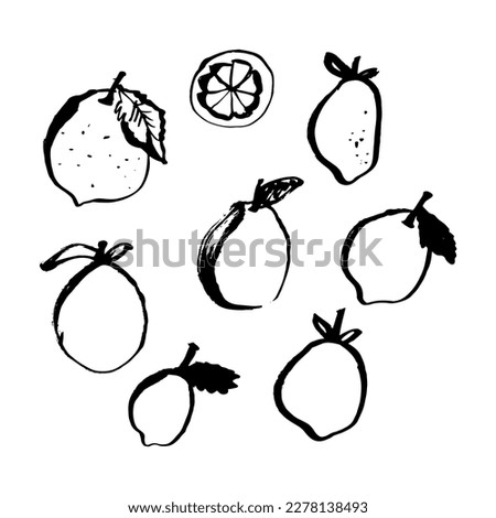 Lemon vector doodle elements set. The inscription 