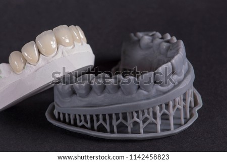 Similar – Image, Stock Photo Dental cast in modern laboratory