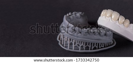 Similar – Image, Stock Photo Dental cast in modern laboratory