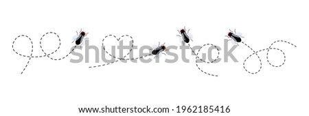 Flies icon set. Fly insect flying on a dotted route. Vector illustration isolated on the white background.