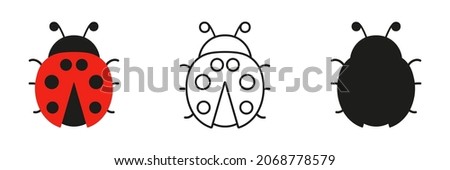 Ladybugs cute characters set. Ladybirds in three different view. Vector illustration for drawing 