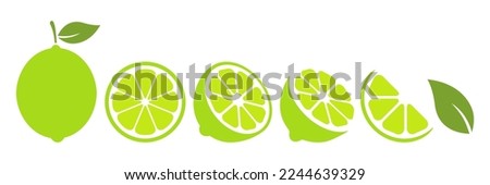 Lime slices set. Citrus green fruits collection. Vector illustration isolated on white.