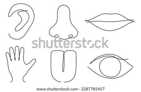 Human senses continuous one line art set. Hand, eye, nose, tongue, lips and ear. People part of body contour line. Vector illustration on white.