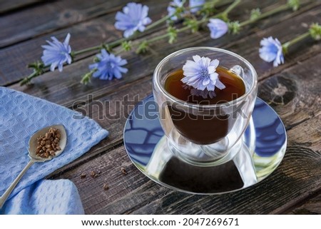 Drink made of chicory roots in thermo glass cup, blooming chicory plants, blue linen napkin and spoon with granulated chicory root powder on brown wooden table. Caffeine free alternative to coffee. Foto d'archivio © 
