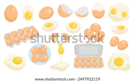 Eggs set. Raw, boiled, whole and sliced, peeled and broken eggs. Scrambled eggs, omelette, yolks, eggshell, egg carton box isolated on white background. Poultry farming theme. Flat Vector illustration