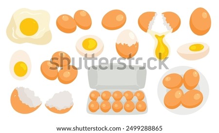 Chicken eggs collection. Raw, boiled, whole and sliced, peeled and broken eggs isolated on white background. Scrambled eggs, omelette, eggshell, egg carton box. Flat Vector illustration