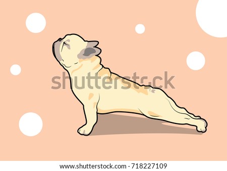 Similar – Foto Bild Französische Bulldogge beim Stretching auf der Yogamatte.