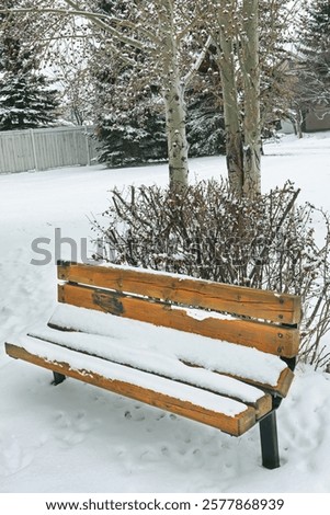 Similar – Image, Stock Photo Lonely benches in a park.